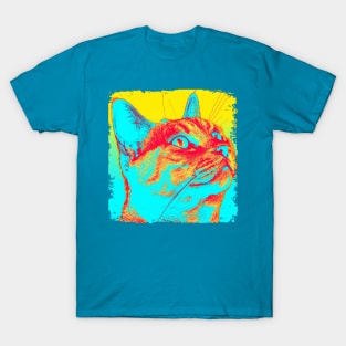 Domestic Shorthair Pop Art - Cat Lover Gift T-Shirt